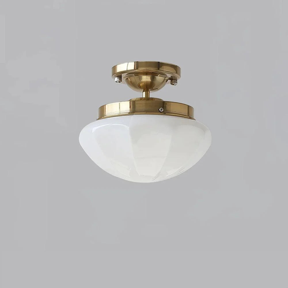 Elegant Sleek Dome Glass Ceiling Lamp