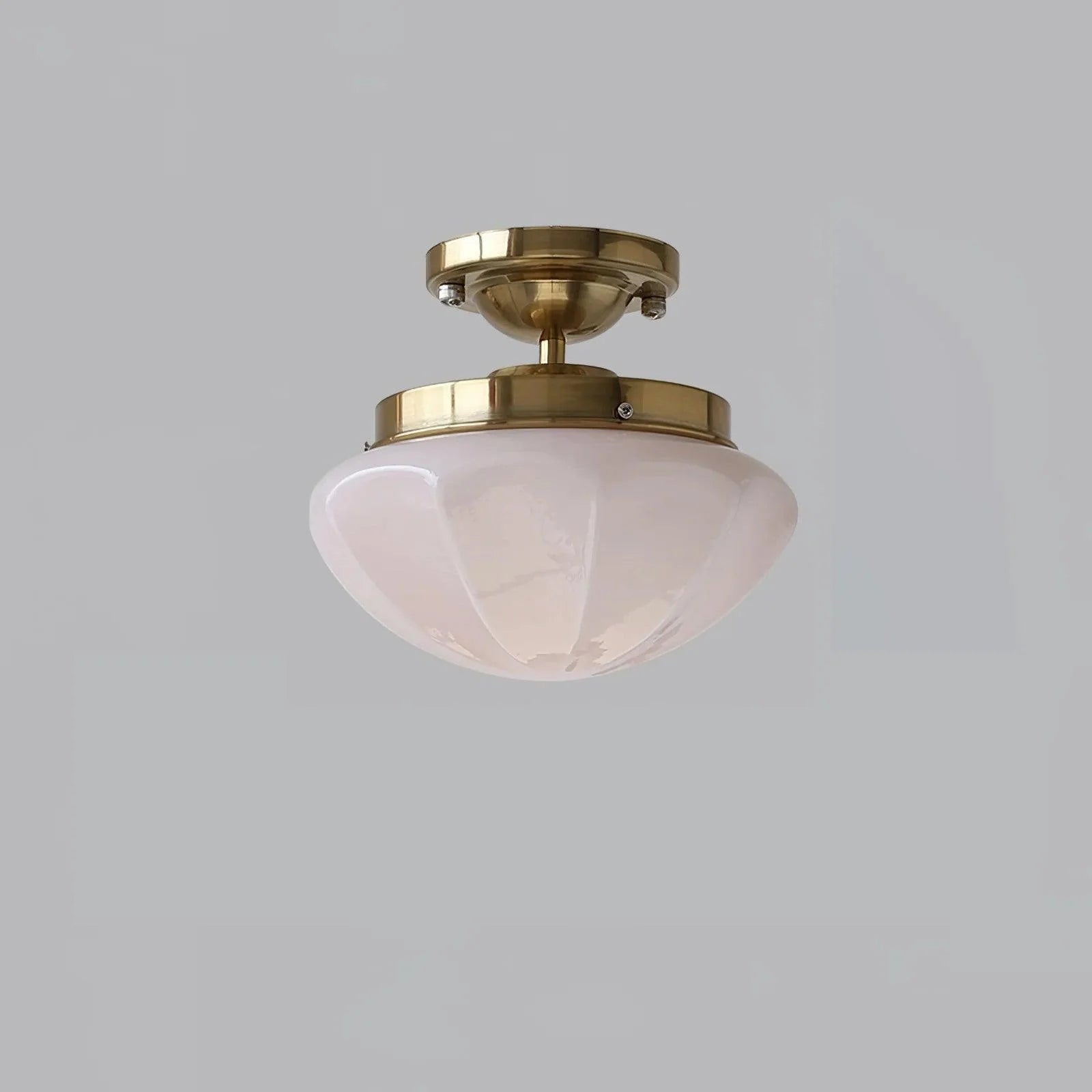Elegant Sleek Dome Glass Ceiling Lamp