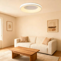 Modern Simplistic Circle Ceiling Light