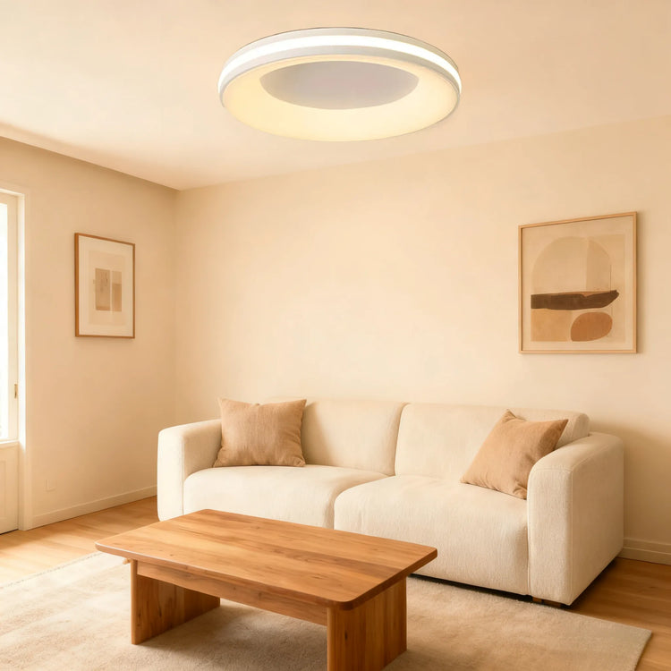 Modern Simplistic Circle Ceiling Light