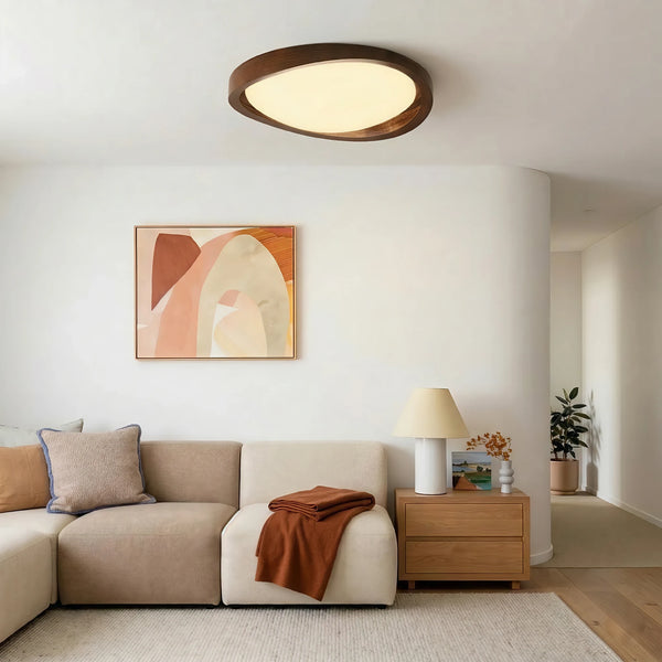 Rustic Organic Acrylic Ceiling Lamp