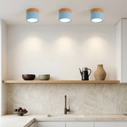 Nordic Simple Cylinder LED Loftslampe