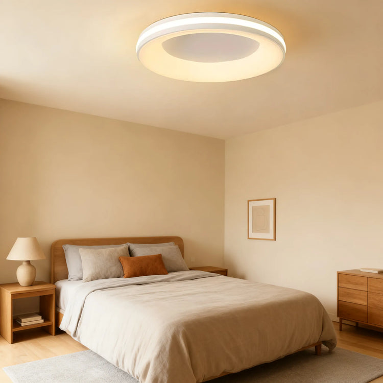 Modern Simplistic Circle Ceiling Light