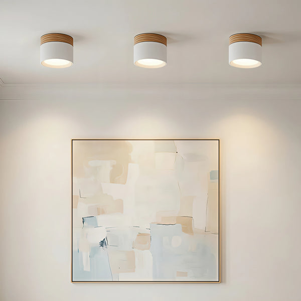 Nordic Simple Cylinder LED Ceiling Light