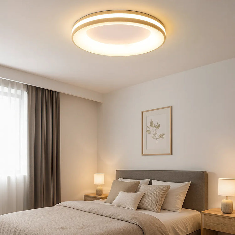 Modern Simplistic Circle Ceiling Light
