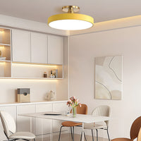 Luce del soffitto a filo a filo rotondo nordico