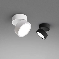 Adjustable 360 Rotation Ceiling Light