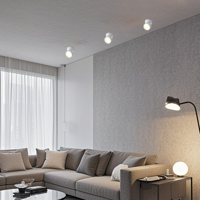 Adjustable 360 Rotation Ceiling Light