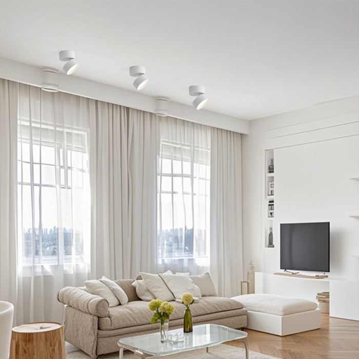 Adjustable 360 Rotation Ceiling Light