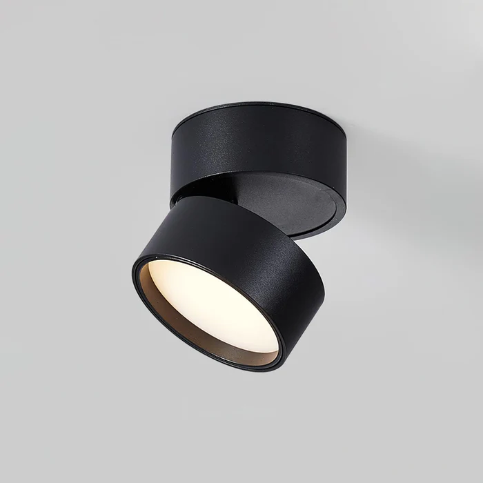 Adjustable 360 Rotation Ceiling Light