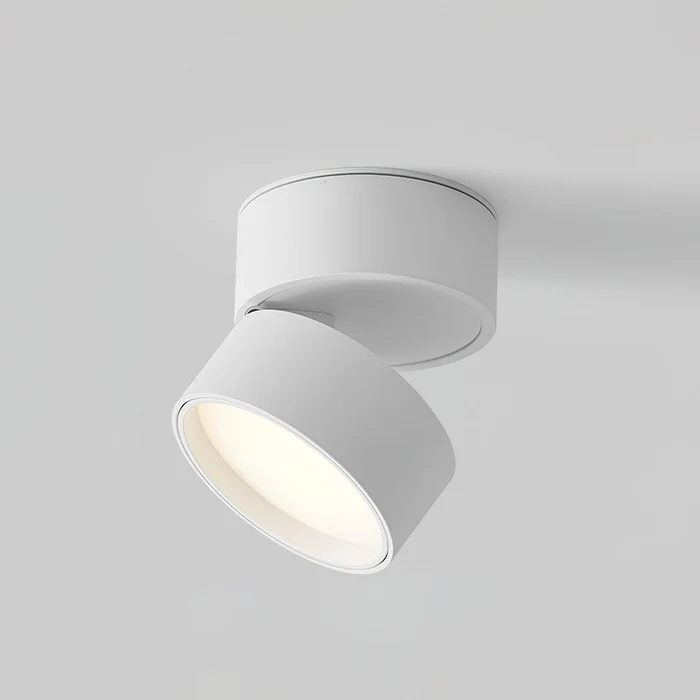 Adjustable 360 Rotation Ceiling Light