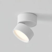 Adjustable 360 Rotation Ceiling Light