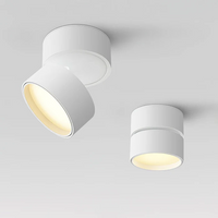 Adjustable 360 Rotation Ceiling Light