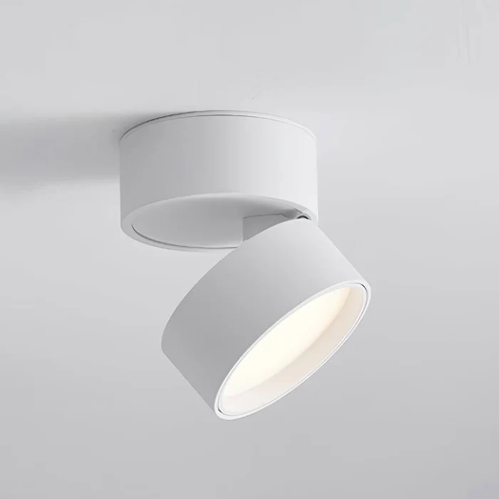 Adjustable 360 Rotation Ceiling Light