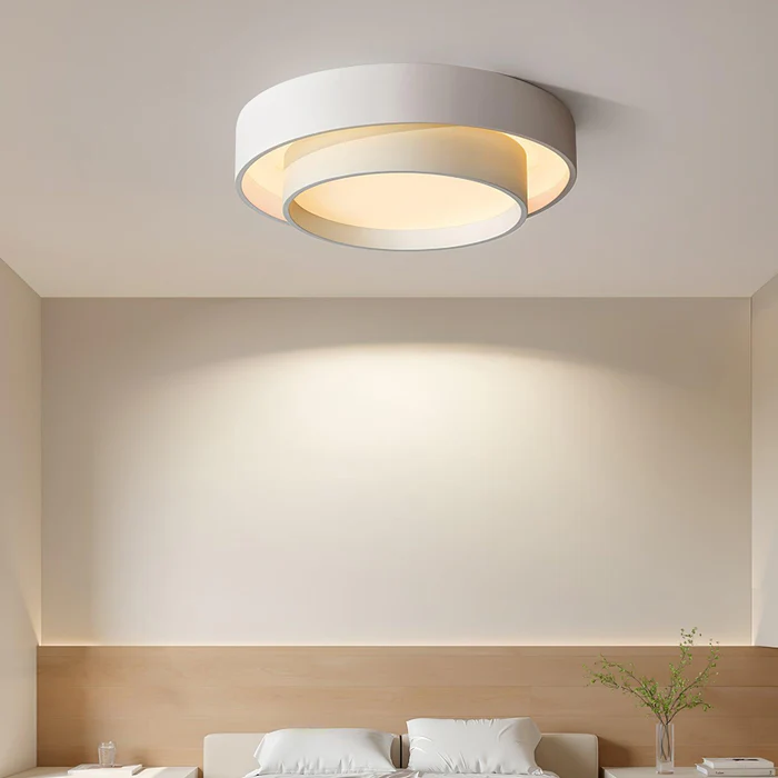 Modern Double Round Ceiling Light