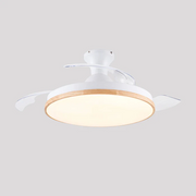 Sleek Flush Mount Ceiling Fan with LED Light