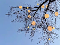Mondgarten Outdoor -Anhänger Licht
