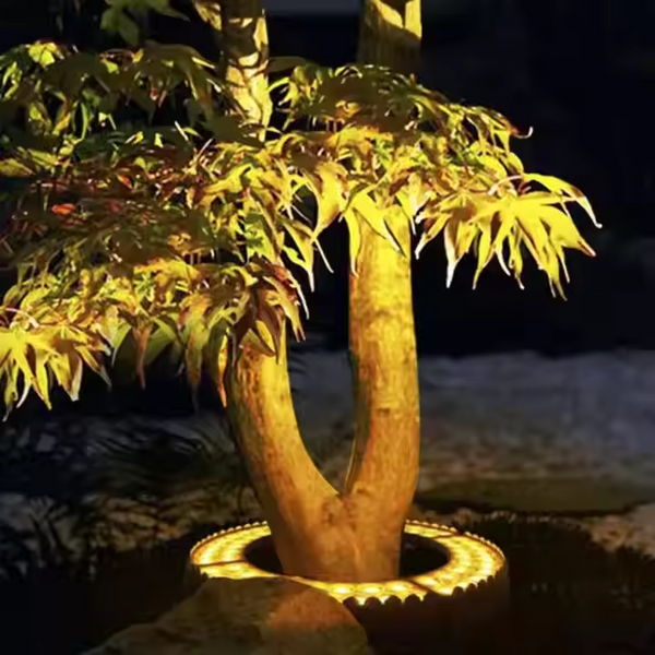 Elegante Spotlight Outdoor Tree Highlight