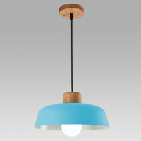 Nordic afgezwakt metalen hanglamp