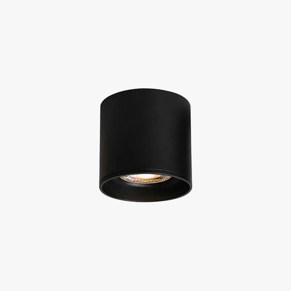 Minimalistisk LimePoint Cylinder Loftslampe