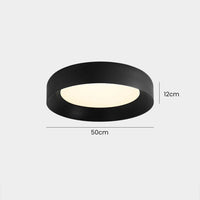 Black Flush Mount LED Ceiling Light