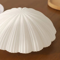 Aurora Shell loftlys