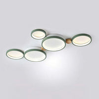 Artistic Circular Iron LED Ceiling Light