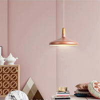 Levendige kegel modern hanglamp
