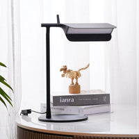 Buler justerbar lampe