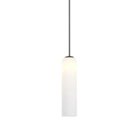 Schlankes Rohrglasanhänger Licht