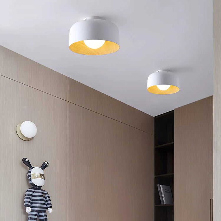 Lampada da soffitto TerraGlow