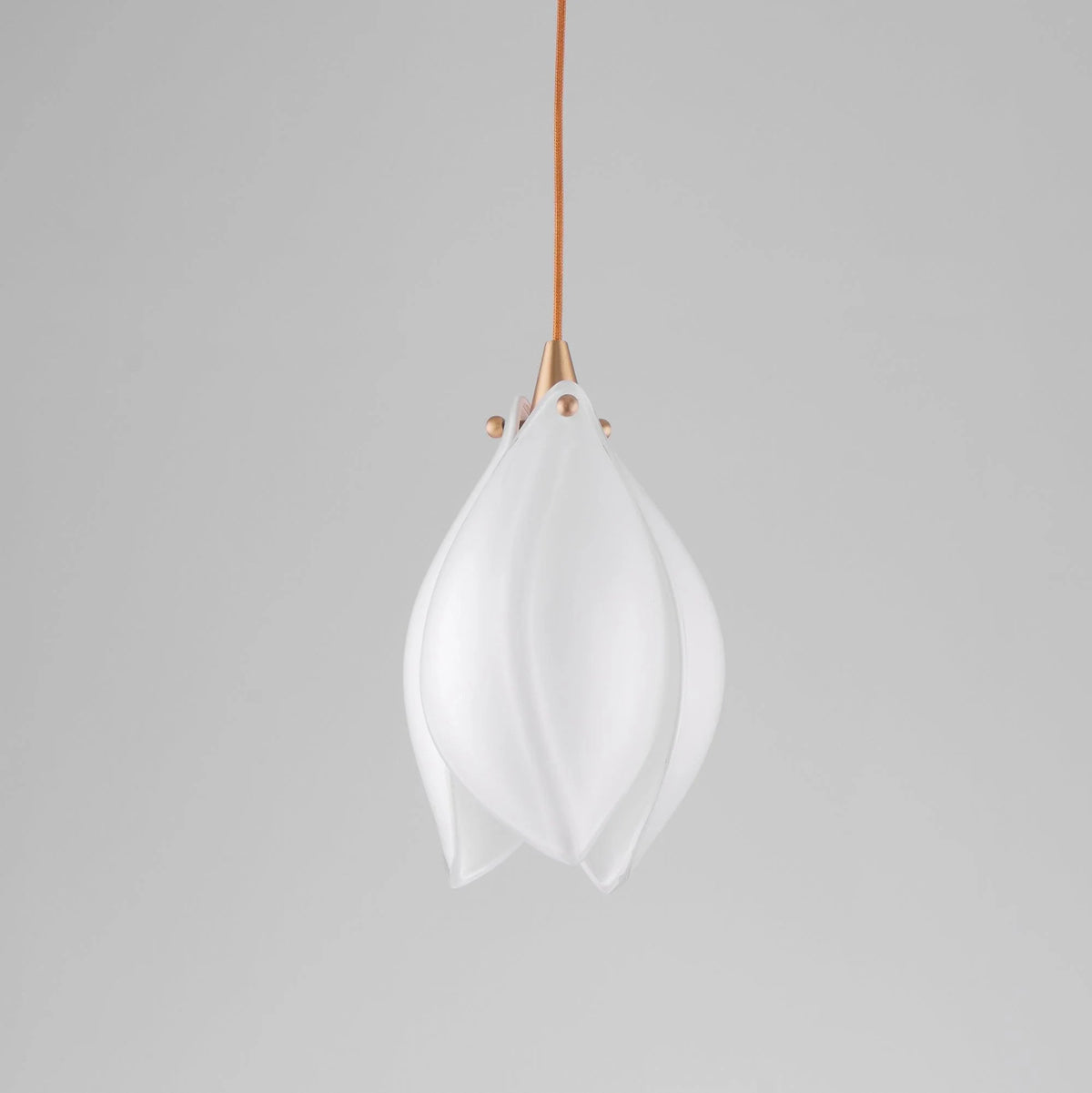 Starlight Petal pendel Light