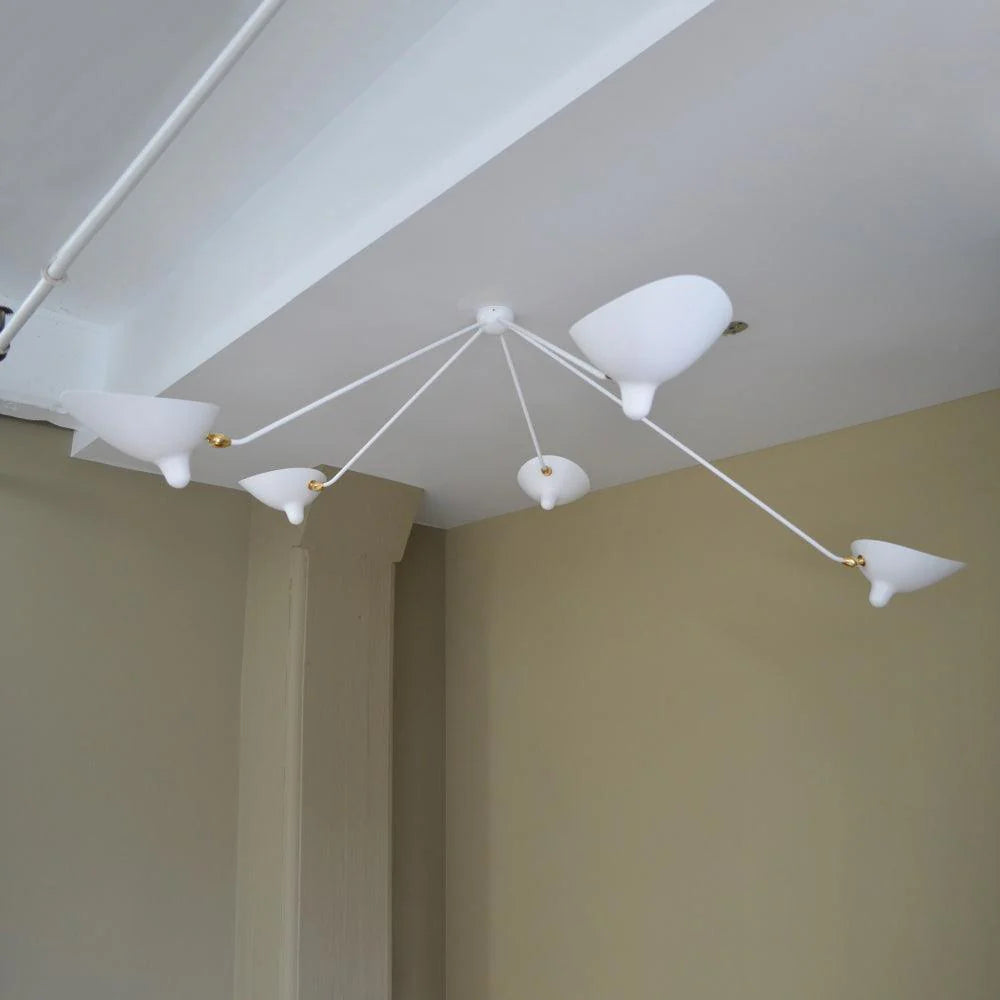 Stylish Celestial Curve Metal Ceiling Light