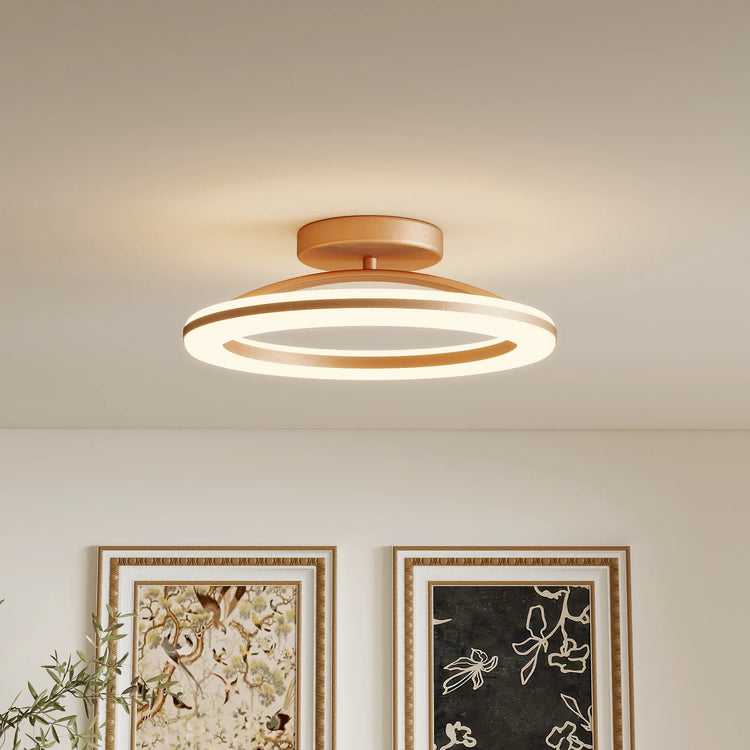 Schicke moderne runde Deckenleuchte aus Eisen