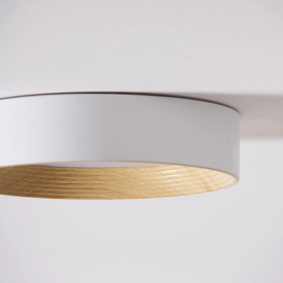 Kalen minimalistisch plafondlamp