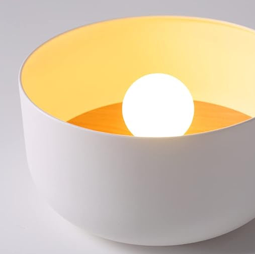 Modern Round Metal Ceiling Light