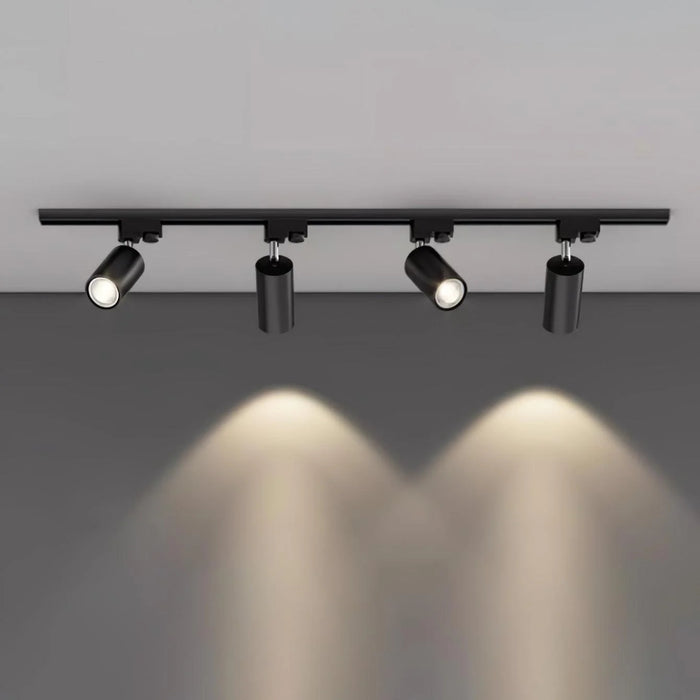 Rotatable Spotlights Ceiling Light