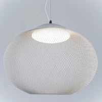 Filament Mesh Pendant Light