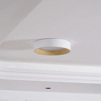 Kalen minimalistisch plafondlamp