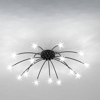 Opulent Star-Globe glass Ceiling Light