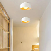 Luce a soffitto Terraglow