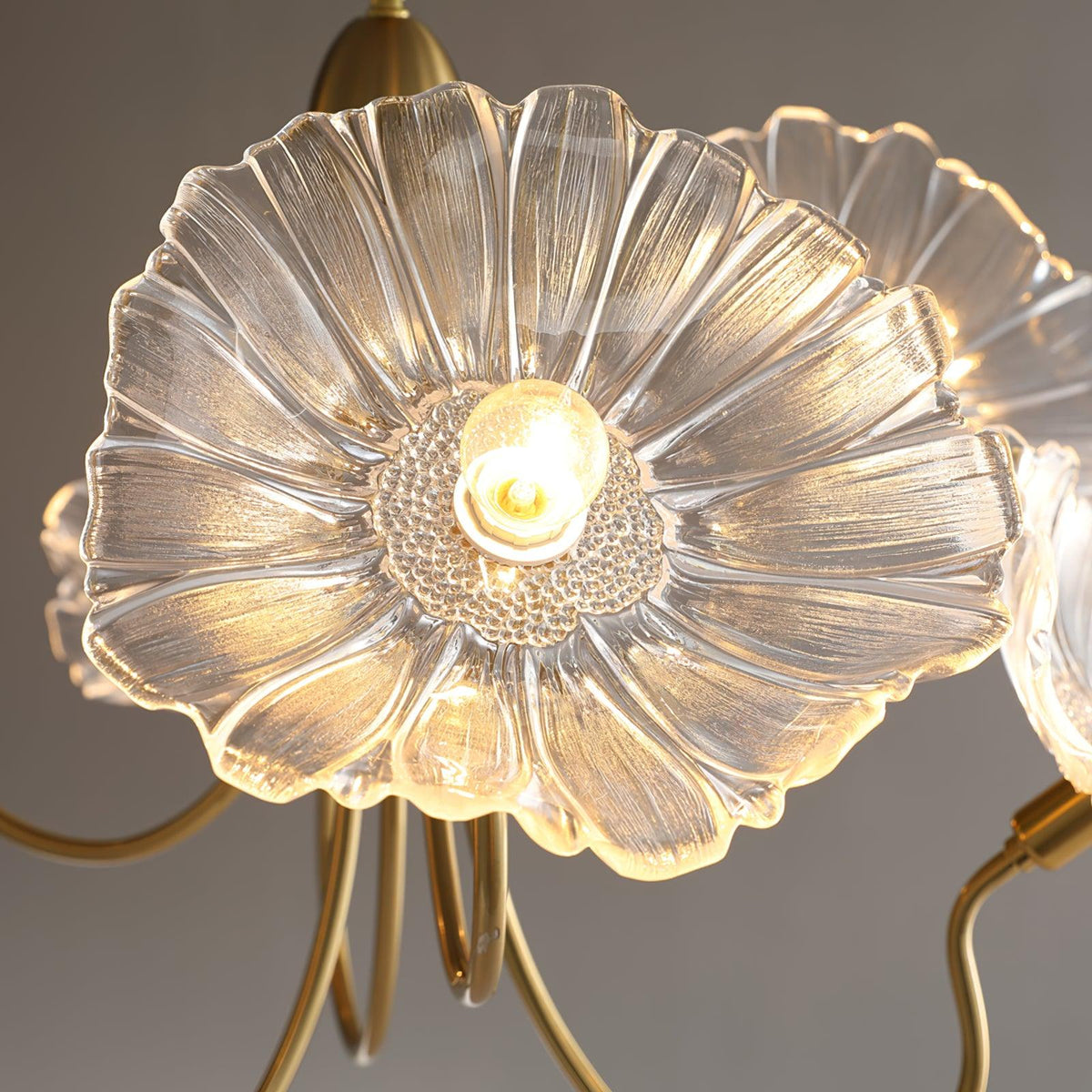 Lustre de l'éclairage Lotus Bloom