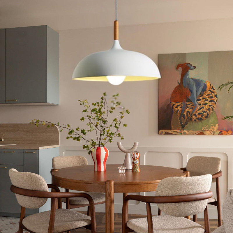 Luce a ciondolo a cupola semplice moderna moderna