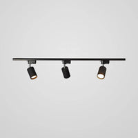 Roteerbare spotlights plafondlicht