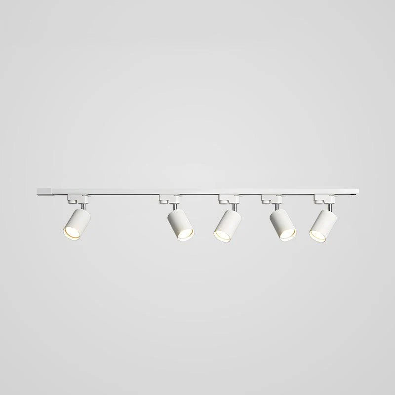 Roteerbare spotlights plafondlicht