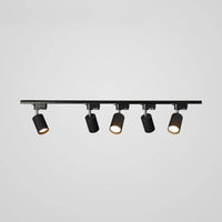 Roteerbare spotlights plafondlicht