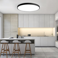 Minimalistisk fladskive loftslampe