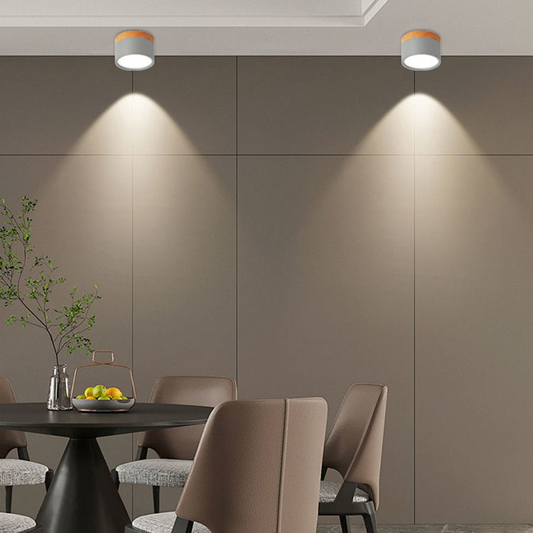 Nordic Simple Cylinder LED Ceiling Light
