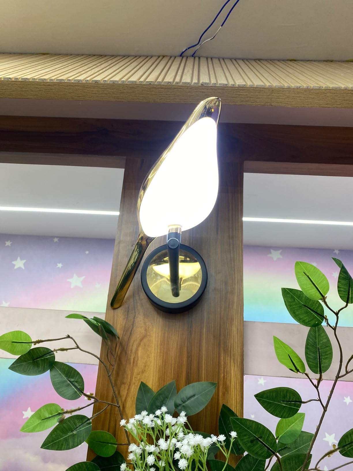 Feature Icon