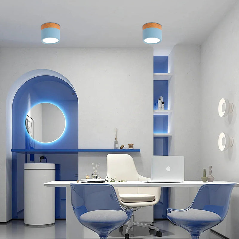Nordic Simple Cylinder LED Loftslampe